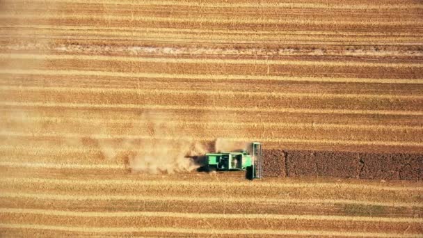 Blick Von Oben Auf Erntemaschinen Die Weizenfeld Arbeiten Mähdrescher Ernten — Stockvideo