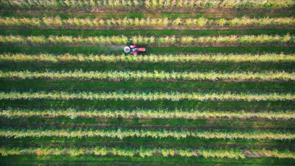 Plodový Postřikovač Který Rozprašuje Pesticidy Nebo Herbicidy Větrné Turbíny Pozadí — Stock video