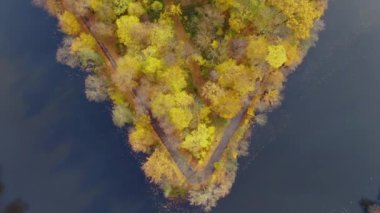 Güneşli bir sonbahar gününde, güzel, pürüzsüz, yeşil bir göl manzarası. Ormanlarla çevrili zümrüt göl manzaralı kuş bakışı. Suda yansıyan bulutlar, sonbaharda gelen altın yapraklar..