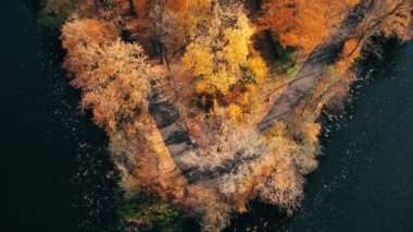 AERIAL Ormanı 'nın muhteşem sonbahar gölgeleri ve ağaç tepelerinin altında saklanan yollar. Sonbahar mevsiminde renkli yaprakları olan orman ağaçları. Sonbahar mevsiminde yaprakları değiştirmenin çarpıcı rengi. Göl