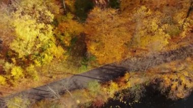 AERIAL Ormanı 'nın muhteşem sonbahar gölgeleri ve ağaç tepelerinin altında saklanan yollar. Sonbahar mevsiminde renkli yaprakları olan orman ağaçları. Sonbahar mevsiminde yaprakları değiştirmenin çarpıcı rengi. Göl