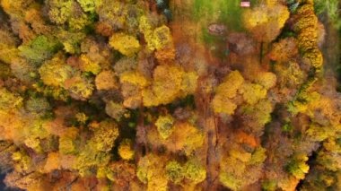 İsveç 'teki güzel sarayın hava manzarası. Sonbahar günbatımı. Sonbahar ormanındaki beyaz saray. Yüksek irtifa.