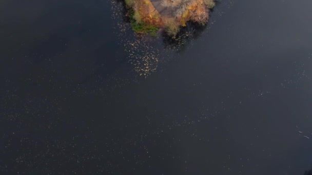 Αεροφωτογραφία Του Όμορφη Λεία Πράσινα Νερά Μιας Λίμνης Μια Ηλιόλουστη — Αρχείο Βίντεο