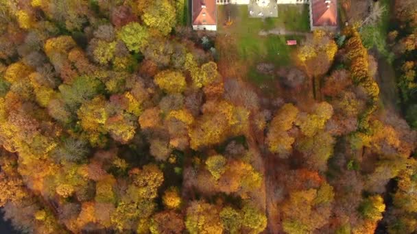 从空中俯瞰瑞典美丽的宫殿 秋天的日落秋天森林里的白宫 — 图库视频影像