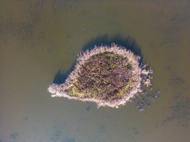 Güneşli bir sonbahar gününde, güzel, pürüzsüz, yeşil bir göl manzarası. Ormanlarla çevrili zümrüt göl manzaralı kuş bakışı. Suda yansıyan bulutlar, sonbaharda gelen altın yapraklar..