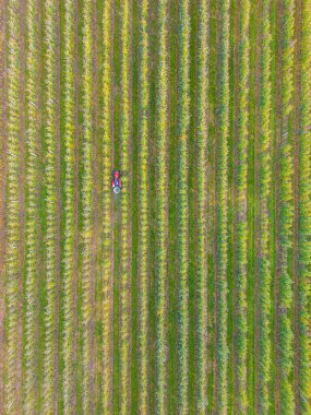 Ekin püskürtücü traktor böcek ilacı ya da ot ilacı tarlası püskürtüyor. Arka planda rüzgar türbinleri. Modern tarım. Traktörlerin ve tarım makinelerinin kiralanması