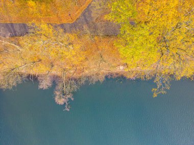 Güneşli bir sonbahar gününde, güzel, pürüzsüz, yeşil bir göl manzarası. Ormanlarla çevrili zümrüt göl manzaralı kuş bakışı. Suda yansıyan bulutlar, sonbaharda gelen altın yapraklar..