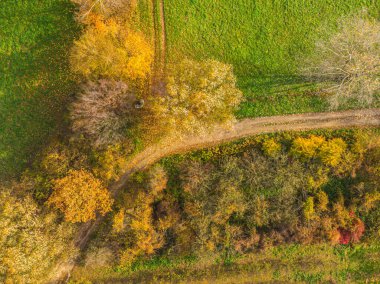 AERIAL Ormanı 'nın muhteşem sonbahar gölgeleri ve ağaç tepelerinin altında saklanan yollar. Sonbahar mevsiminde renkli yaprakları olan orman ağaçları. Sonbahar mevsiminde yaprakları değiştirmenin çarpıcı rengi. Göl