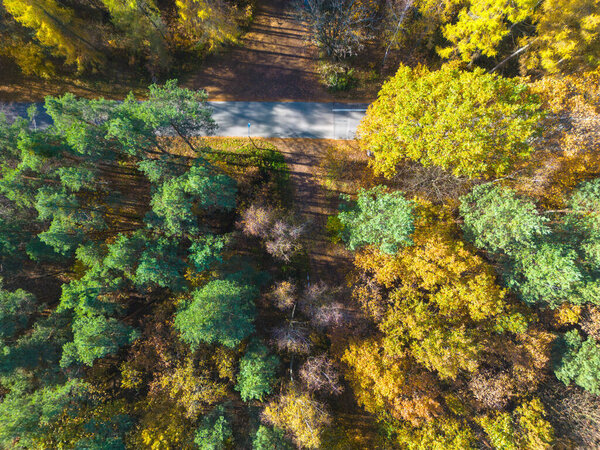 Aerial view of a rural road with in yellow and orange autumn forest.Beautiful autumn landscape.Drone flying above mountain road surrounded by beautiful vibrant colorful forest.