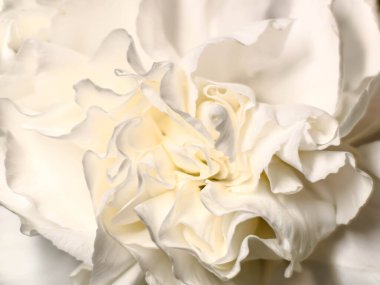 Arka plan olarak güzel yaz çiçekleri. Çiçeklerin açtığı narin güller şenlik arka planı, pastel rengi ve çiçek buketi kartı..