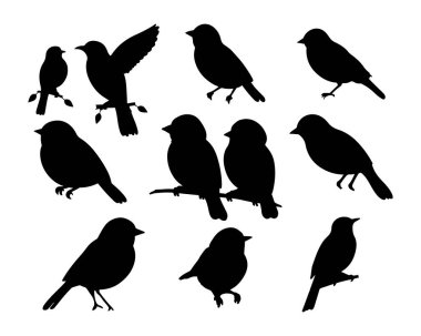 Çeşitli Pozisyonlarda Siluetler ve Vektör Türler 