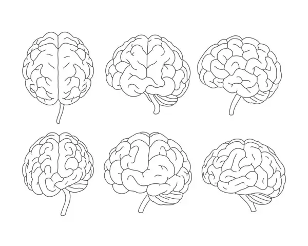 Beyin Resimleri Doodle Biçim Vektörü Ayarları