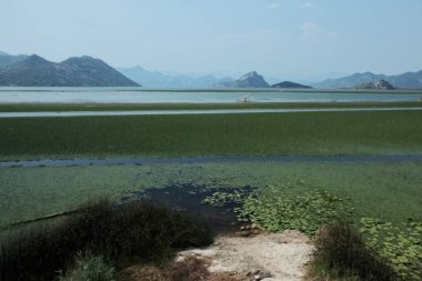 Karadağ 'daki Skadar Gölü. Doğanın ve dağların zenginliğiyle gölün açık yüzeyi. Gölde tekne turu.