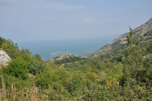Скадарское Озеро Черногории Открытая Поверхность Озера Богатством Природы Гор Круизы — стоковое фото