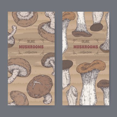 Two labels with Lentinula edodes aka shiitake and Pleurotus eryngii aka king oyster mushroom color sketch. Edible mushrooms series. Great for cooking, traditional medicine, gardening. clipart