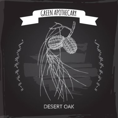 Desert Oak namı diğer Allocasuarina decaisneana eskizi. Yeşil eczacılık serisi. Geleneksel tıp, parfüm tasarımı, yemek pişirme ve bahçe işleri için harika..