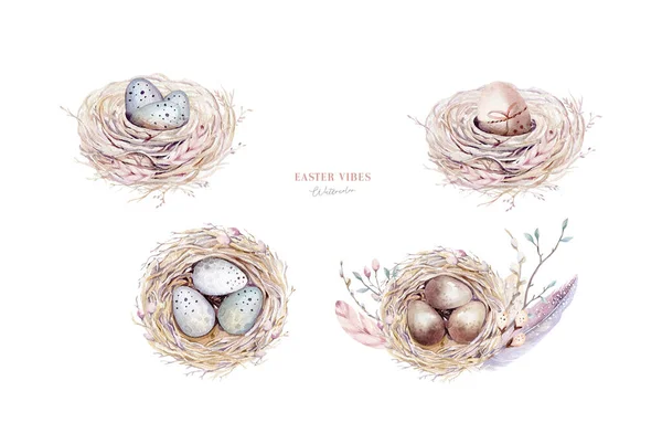 Akvarel Šťastný Velikonoční Hnízdo Ptačími Vejci Větví Peřím Pružná Kresba — Stock fotografie