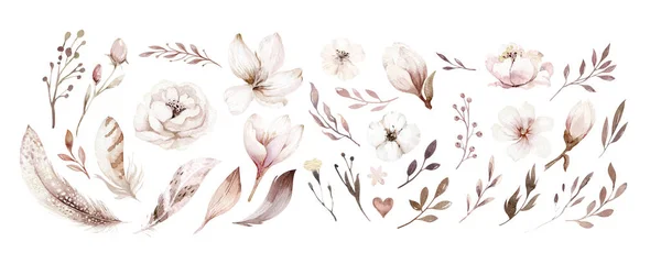 Σετ Λουλουδιών Νερομπογιές Άνοιξη Καλοκαίρι Διακόσμηση Floral Μποέμικο Σχεδιασμό Υδατογραφία — Φωτογραφία Αρχείου