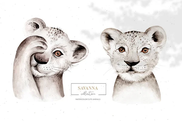 Afrika Akvarell Savanna Lejon Djur Illustration Afrikanska Safari Vilda Katt — Stockfoto