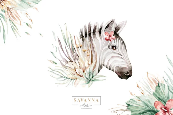 Afrika Aquarell Savanne Zebra Tier Afrikanische Safari Niedliche Tiere Portrait — Stockfoto