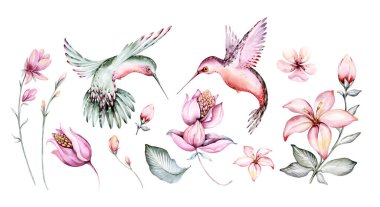 Tropical watercolor birds hummingbird, monkey and jaguar, exotic jungle plants leaves flowers, flamingo pastel color seamless fabric background.