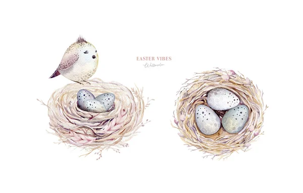 Watercolor Happt Easter Nest Bird Eggs Branch Feather Spring Hand — Stock Photo, Image