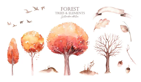 Zestaw Akwarelowych Jesiennych Drzew Spadek Strony Rysowane Żółty Las Pomarańczowy — Zdjęcie stockowe