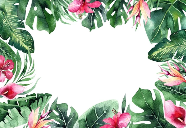 Uppsättning Ljusa Akvarell Tropiska Blad Blad Och Grenar Från Djungeln — Stockfoto