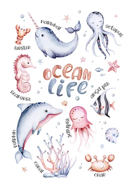 一组海洋动物 蓝色水色的海鱼 鲸鱼和珊瑚 贝壳水族馆背景 航海海豚海洋图解 — 图库照片