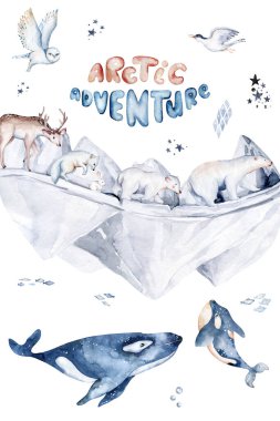 polar arctic animals watercolor collection. snowy owl. reindeer and polar bear, arctic fox. Baby penguin, walrus and seal, hare. hand drawn whale.