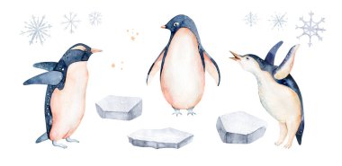 Beautiful watercolor illustration of three penguins. Hand drawn image of antarctic birds. Isolated objects on white background