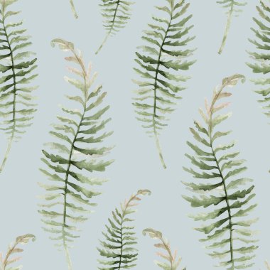 Beyaz çiçekli, böğürtlenli, eğreltiotlu ve yapraklı kusursuz desen. Botanik illüstrasyon