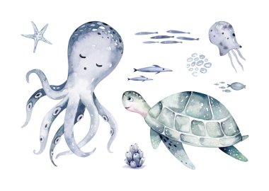 Bir grup deniz hayvanı. Mavi suluboya okyanus balığı, kaplumbağa, balina ve mercan. Kabuk akvaryum arka planı. Denizcilik yunusu çizimi, denizanası