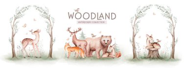 Sevimli yavru tilki, geyik yetiştirme tavşanı ve çocuklar için izole edilmiş ayı resmi. Suluboya boho orman çizimi, kirpi resmi. Çocuk odası posterleri