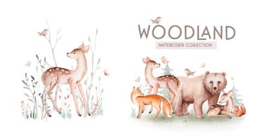 Sevimli yavru tilki, geyik yetiştirme tavşanı ve çocuklar için izole edilmiş ayı resmi. Suluboya boho orman çizimi, kirpi resmi. Çocuk odası posterleri