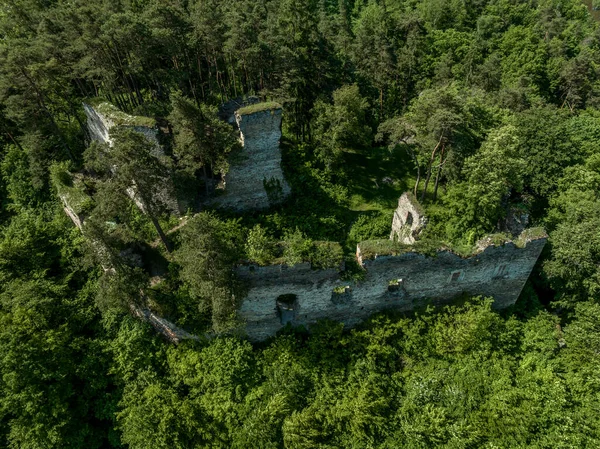 Vista Aérea Castelo Frejstejn Ruína Gótica Medieval Castelo Concêntrico Acima — Fotografia de Stock