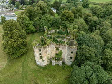 Harap olmuş ve büyümüş Buttevant 'ın havadan görüntüsü veya Barry' nin şatosu County Cork İrlanda 'daki Awbeg nehrinde geniş dairesel kuleleri olan. 