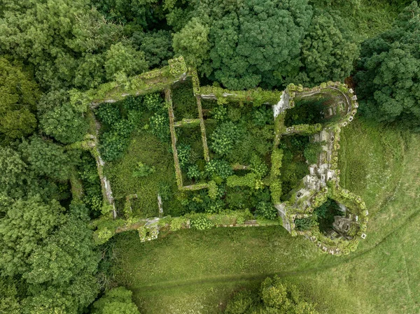 Aerial View Ruined Overgrown Buttevant Barry Castle Awbeg River County — Stock Photo, Image