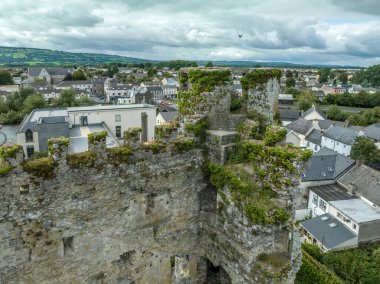 Carlow Kalesi 'nin ve İrlanda' daki Barrow nehrinin üzerinde dairesel kuleleri olan şehir manzarası.
