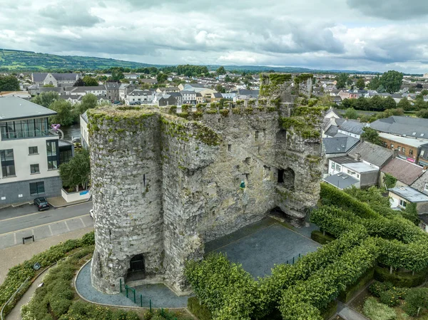 Widok Lotu Ptaka Zamek Miasto Carlow Irlandii Okrągłymi Wieżami Nad — Zdjęcie stockowe