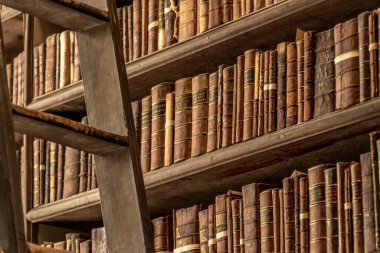 Dublin 'deki klasik Trinity Koleji kütüphanesindeki ahşap kitaplıklar ahşap bir merdiven boyunca eski üniversite yayınlarıyla doluydu. 