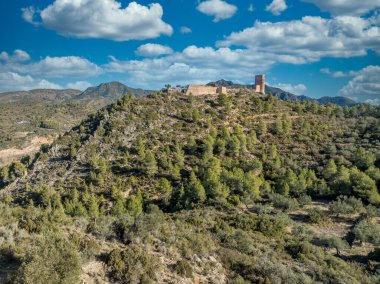 Vall de Almonacid 'in yukarısındaki Sierra de Espadn' daki Almonecir Kalesi 'nin havadan görünüşü sulanmış tarım alanları ve at nalı şeklinde büyük kulesi kısmen restore edilmiş geniş zeytinlikleri.