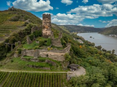 Ren Nehri yakınlarındaki Furstenberg Kalesi 'nin havadan görünüşü dairesel kalesi, perde duvarları ve yapay hendeği var.