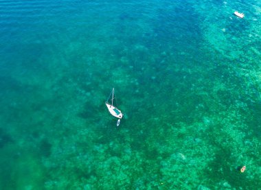 Turkuaz suda beyaz yelkenli.  