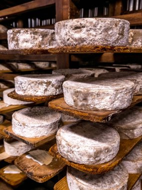 Savoy 'dan gelen olgun Tome Fransız peynirinin mahzendeki özel ahşap raflardaki görüntüsünü kapatın.