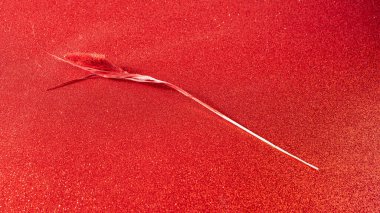 Parıltılı arka planda modaya uygun bir renk, morumsu, kuru dikenli. Doğal yaprak konsepti