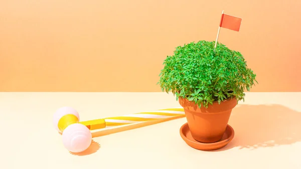 stock image Manjerico plant and toy hammer against beige background. Traditional Summer festival in June San Juan, Portugal