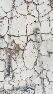 Beyaz çatırdayan eski duvar arkaplanı. Çizim için Grunge gri ve beyaz doku şablonu.