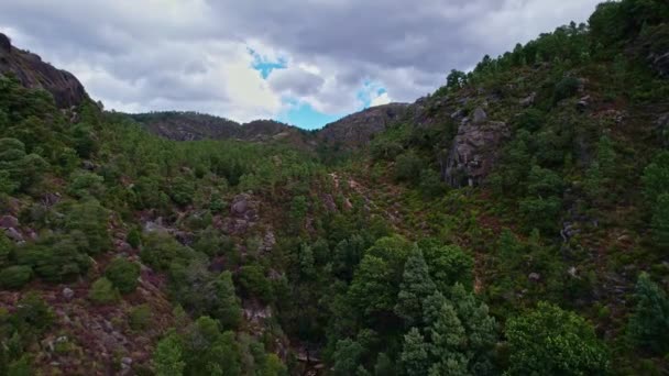 Национальный Парк Пенеда Жерес Португалия Воздушный Беспилотник — стоковое видео