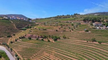 Douro Vadisi 'nin teraslı üzüm bağları ve Portekiz üzerindeki panoramik hava manzarası.